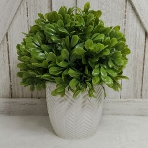 Faux Boxwood Greenery Plant in White Ceramic Planter Decor